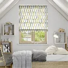 Barnie Owl Dandelion Roman Blind