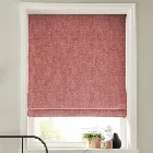 Hardwick Fuchsia