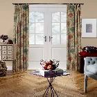 Acanthium Thistle Autumn Curtain