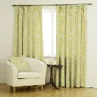 Etched Vine Fern Curtain
