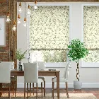 Large Rosehip Leaf Light Green Roman Blind