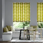 Two Colour Stem Olive Roman Blind