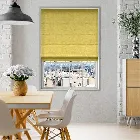Liliana Limon Roman Blind