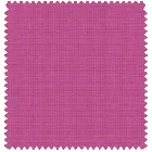 Bella Orchid (Blackout)