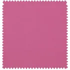 Radiant Fr Raspberry