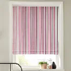 Seastripe Azalea