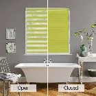 Capri Vision Paradise Green Day And Night Blind