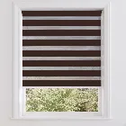 Vision Walnut