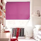 Prime Orchid