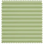 Tropez Sage (Blackout)