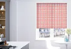 Entity Coral - Roller Blind