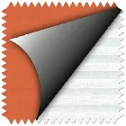 Orange &Amp;amp; White (4564 &Amp;amp; 1016)