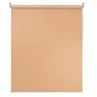 Palate Peach Roller Blind