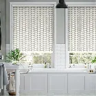 Splash Blackout Scribble Stem Grey Roller Blind