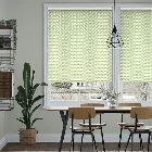 Poacea Kiwi Roller Blind