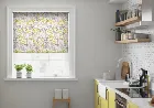 Original Citrus - Roller Blind