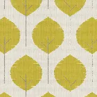 Musa Saffron Roller Blind