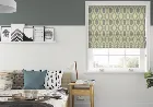 Kasian Dess - Roman Blind