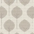 Musa Cameo Roller Blind