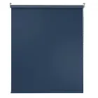 Palate Dragon Blue Roller Blind