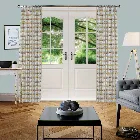 Cluck Cluck Tangerine Curtain