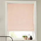 Fagel Blush