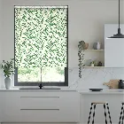 Olmeca Eucalyptus Roller Blind