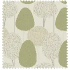Othello Spruce