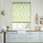 Poacea Kiwi Roman Blind