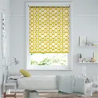 Abacus Blackout Spring Roller Blind