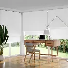 Double Roller Pure White Blind