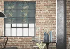 Monkeying Around Mineral - Roman Blind