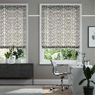 Linear Stem Silver Roman Blind
