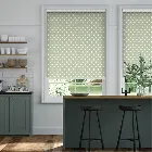Button Spot Aloe Roller Blind