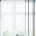 Dandelion Mist (Sheer)